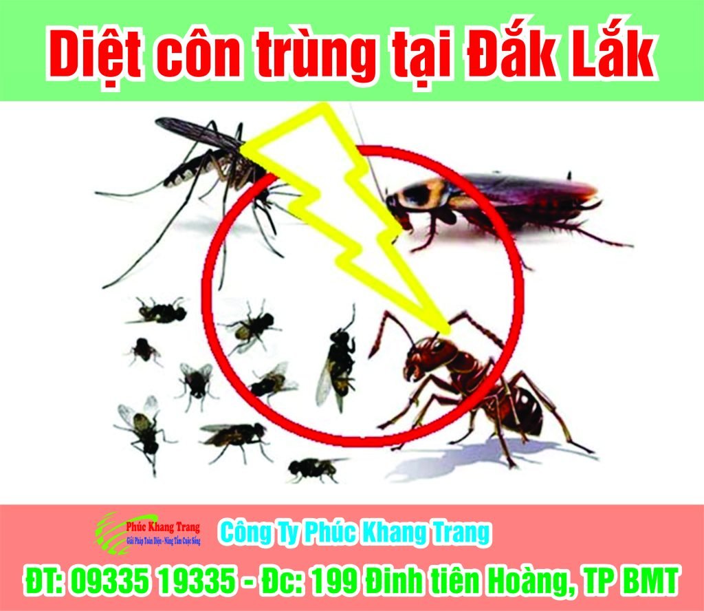Dịch vụ diệt côn trùng Buôn Ma Thuột